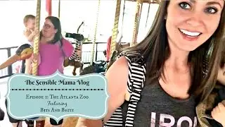 The Sensible Mama Vlog: Episode One