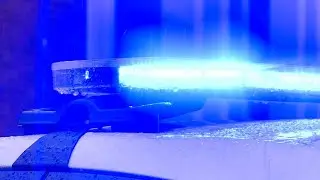 Latest News | Stabbing reported in Springdale