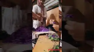 Onam celebration 2023