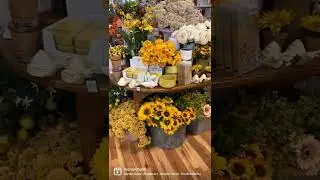 Yellow color blocking store display. Visual merchandising. Flower shop display.