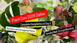 Plant Con 2024 Dallas Complete Marathon Compilation of Plant Shopping for Rare and Variegated Plants