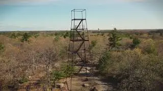 Lynn Woods Reservation: 5/8/2020 - Penny Brook and Penny Brook Bridge, Steel Tower and Beaver Swamp