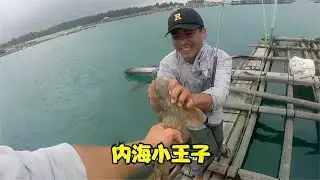 小黑不愧是内海小王子，红斑狗鲨通通拿下，今天全部是值钱货