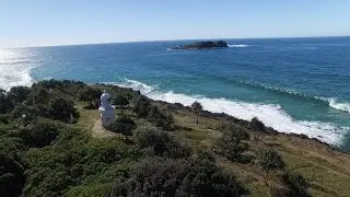 Dolphins at Fingal Head - Tweed Shire, NSW