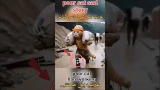 poor cat need food 🥝 struggle life #cat #cute #catlover #ai #funnycat #funny #funnypet @AiCat7