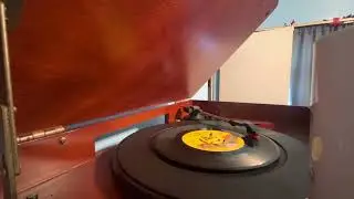 The Shocking Blue- Venus (45 RPM)