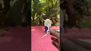 a small bow and arrow made from toothpicks and dental floss #bamboo #cups #diy #slingshot #video