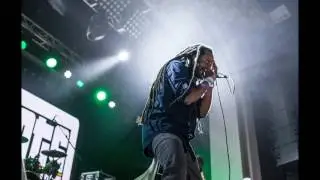 Arise Roots - Rootsman Summer Tour 2016 (Montage Video HD)