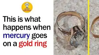 What Happens When Curiosity Is Answered Without Words