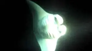 Reuzenmanta bij Shab Sharm (Duikteam de Oester goes Egypt)