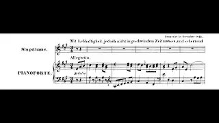 Der Kuss, op. 128 - L.v.Beethoven (piano / KARAOKE, Accompaniment, Mr, 반주)