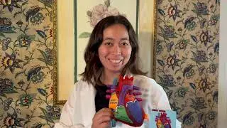 Explore our Anatomical Heart Plush: Learn, Review, and Test Yourself