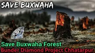 Save Buxwaha Forest | Bunder Diamond Mine Project | Buxwaha Diamond Mine Explained | HGT Studico