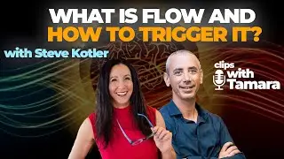 What is flow? Steve Kotler explains what 