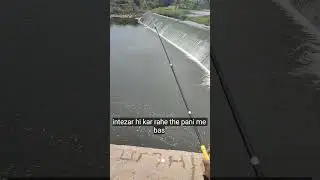 Catching tilapia fish #fishing #youtubeshorts #viral #video #india