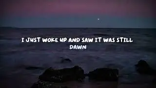 tavø - moonlight (lyric video)