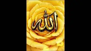 🩷️🩷️🩷️ 💚💚💚 ❤️❤️❤️Ya allah ya rehman   #shorts #youtubeshorts #new #love #allah #allahu akbaro #viral