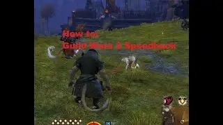 Tutorial: Guild Wars 2 Speedhack