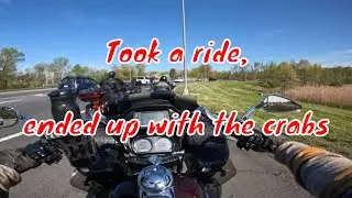 We took a ride, ended up with the crabs