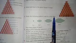 Grade 5 Mathematics | Ch - 15 Patterns Ex 15.2|APS Class 5 ch 15 | APS Grade 5 Mathematics |Patterns