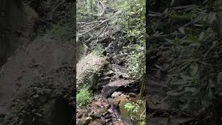 Robert Sims&lsquo;s property ￼