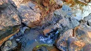 Babbling Brook, Bubbling Stream, Birds Chirping, Forest Sounds For Relax, Sleep, Calm, Heal, Asmr