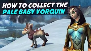 Pale Baby Vorquin - How To Collect This Battle Pet