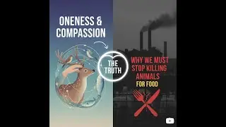Oneness & Compassion: Why We Must Stop Killing Animals for Food