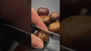 Raw Chestnut Nut 🌰🌰🥵 #shorts #satisfying #food #fruitcutting #fruit #chestnut #gardening