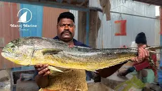 KASIMEDU FISH CUTTING FISH CUTTING SKILLS | FISH CUTTING VIDEOS | FISH CUTTING SELVAM