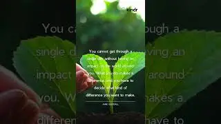 Make A Difference Quote