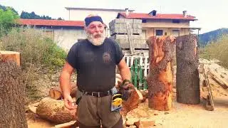 Scoprendo il laboratorio di Barba Brisiu - Sculture in legno con motosega