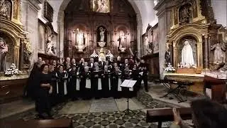 CONCERTO DE NADAL 2025. CORAL POLIFÓNICA 