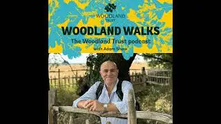 6. A woodland walk with adventurer Al Humphreys
