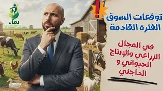توقعات السوق الفترة القادمة