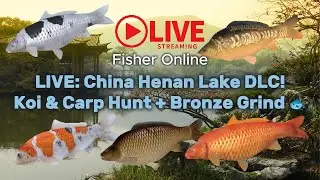 🎣 Fisher Online LIVE Stream: Bronze Map Grind + Koi & Carp Fishing at China Henan Lake DLC!