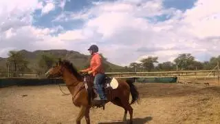 First ride on 3 year old warmblood mare