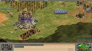 [AoE2]Franks Fast Castle 35min Paladin Rush[Wololo Kingdoms]