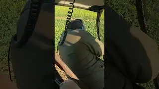 Shooting A Massive 250bl Bushpig #hunting