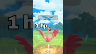 1.1 л.с. Фламиго против Грунта в Pokemon GO