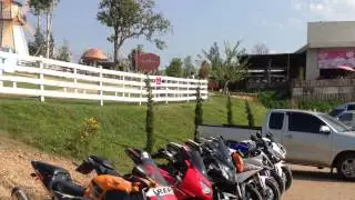 Lampang Trip