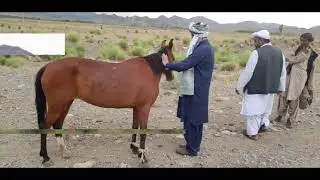 Zhob picnic point