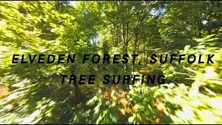 Tree Surfing - Elveden Forest, Suffolk | 4k - Cinewhoop - FPV Drone