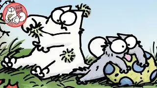 Has your cat gone CRAZY this spring time? Look out for these key signs...