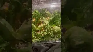Chipotle salad I&rsquo;m eating this morning by:Queen E