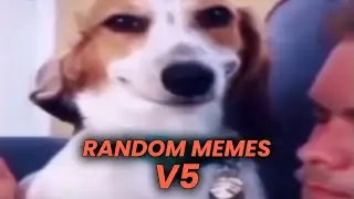 RANDOM MEMES COMPILATION V5 - 2022 Memes