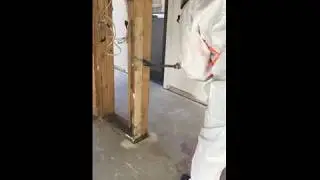 Removing Mould Using Dry Ice