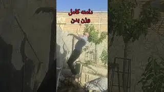One-arm pull-up variations #pullups #motivation #shortvideo #calisthenics #oap #ایران #ورزشی #gym