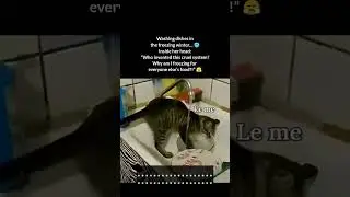 Washing Dishes #funny #memes #relatablememes #relatable #comedy