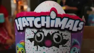 Hatching a Hatchimal in 2 Minutes (elapse time)